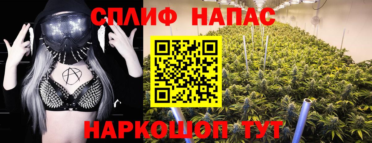 Канабис SATIVA & INDICA Новозыбков